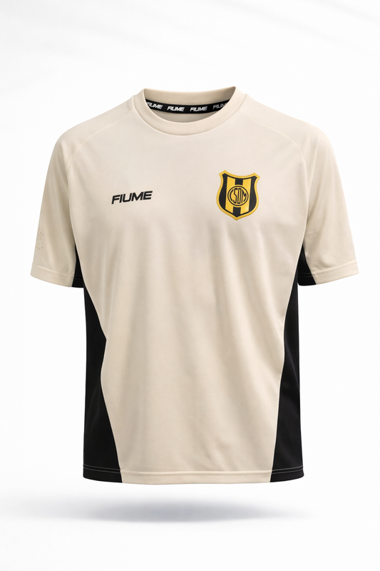 REMERA ENTRENO IMPORTADA F* DEPORTIVO MADRYN T. 2026