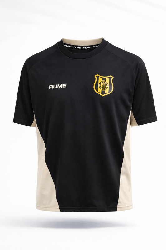 REMERA ENTRENO IMPORTADA F* DEPORTIVO MADRYN T. 2026